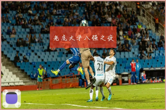 老虎大学八强之夜