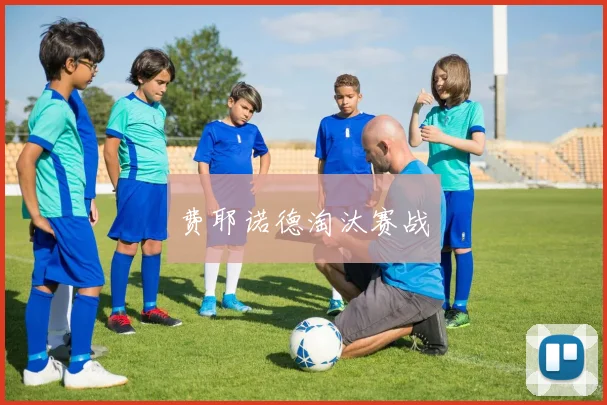 费耶诺德淘汰赛战