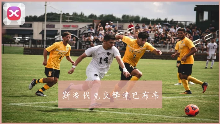 斯洛伐克交锋津巴布韦