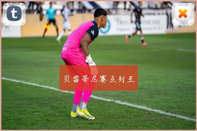 贝雷蒂尼赛点封王