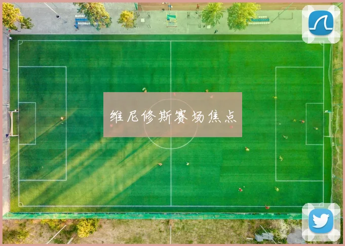 维尼修斯赛场焦点