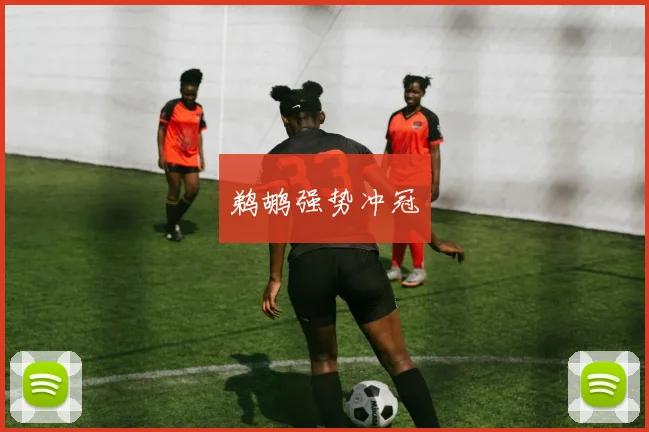 鹈鹕强势冲冠