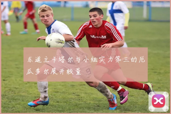 东道主卡塔尔与小组实力第三的厄瓜多尔展开较量