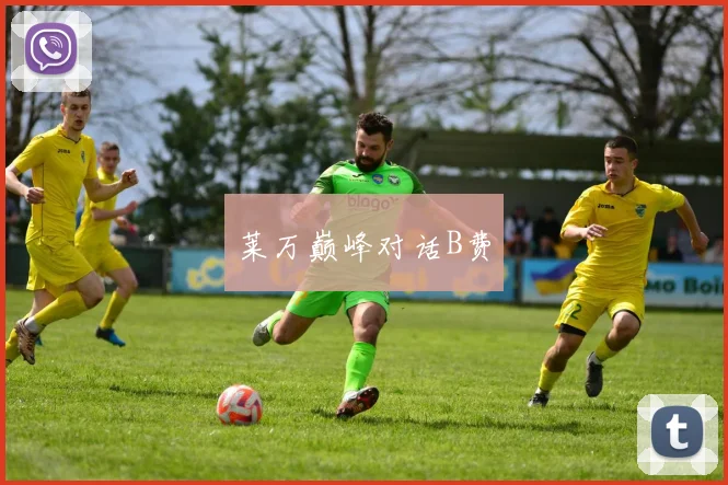 莱万巅峰对话B费