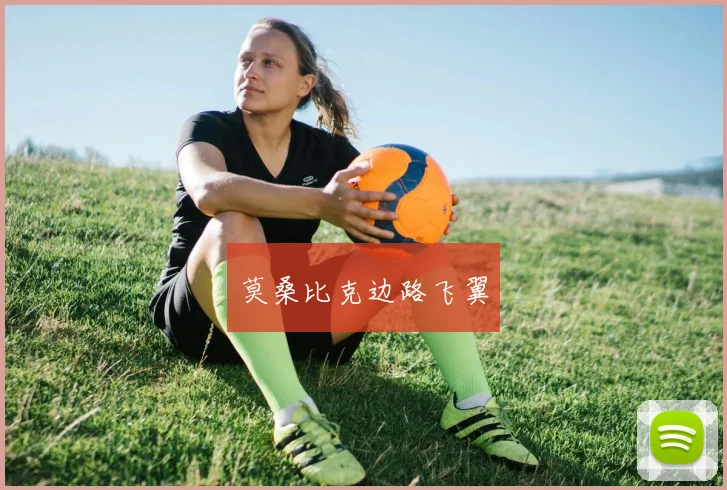 莫桑比克边路飞翼