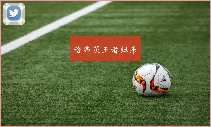 哈弗茨王者归来