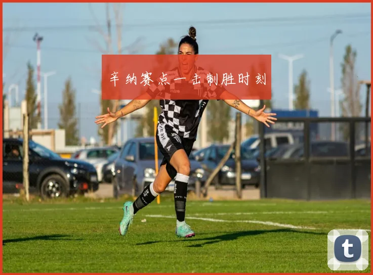 辛纳赛点一击制胜时刻