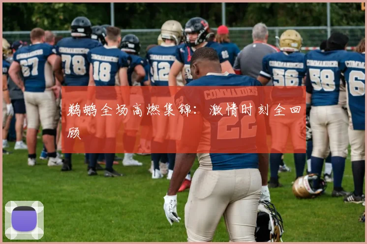 鹈鹕全场高燃集锦：激情时刻全回顾
