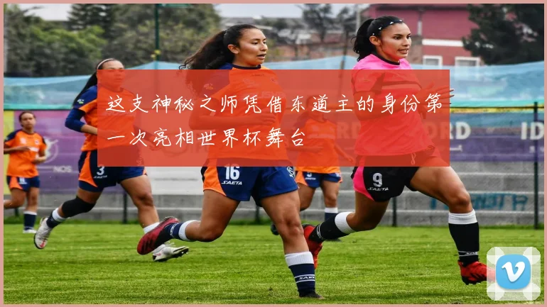 这支神秘之师凭借东道主的身份第一次亮相世界杯舞台