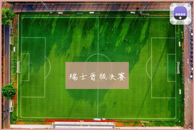 瑞士晋级决赛