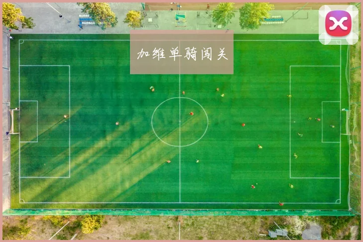 加维单骑闯关