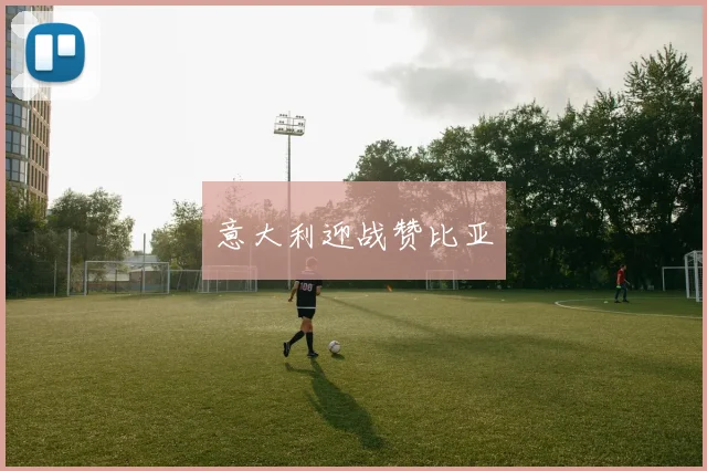 意大利迎战赞比亚