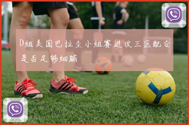 D组美国巴拉圭小组赛进攻三区配合是否足够细腻