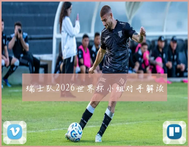 瑞士队2026世界杯小组对手解读
