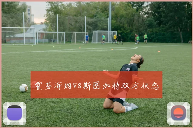 霍芬海姆vs斯图加特双方状态
