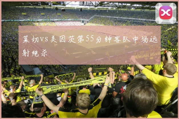 莱切vs美因茨第55分钟客队中场远射绝杀