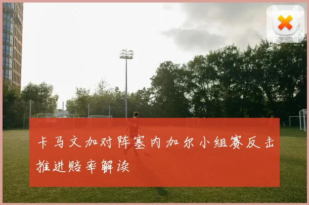 卡马文加对阵塞内加尔小组赛反击推进赔率解读